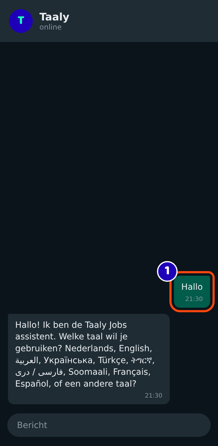 Hallo sturen naar de Taaly Jobs-assistent op WhatsApp